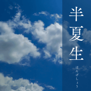 半夏生