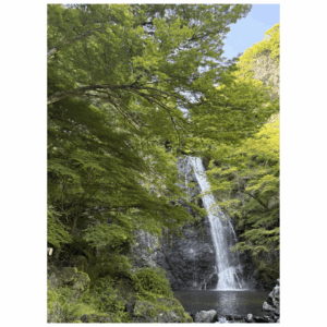 5月の箕面大滝・ライオン岩